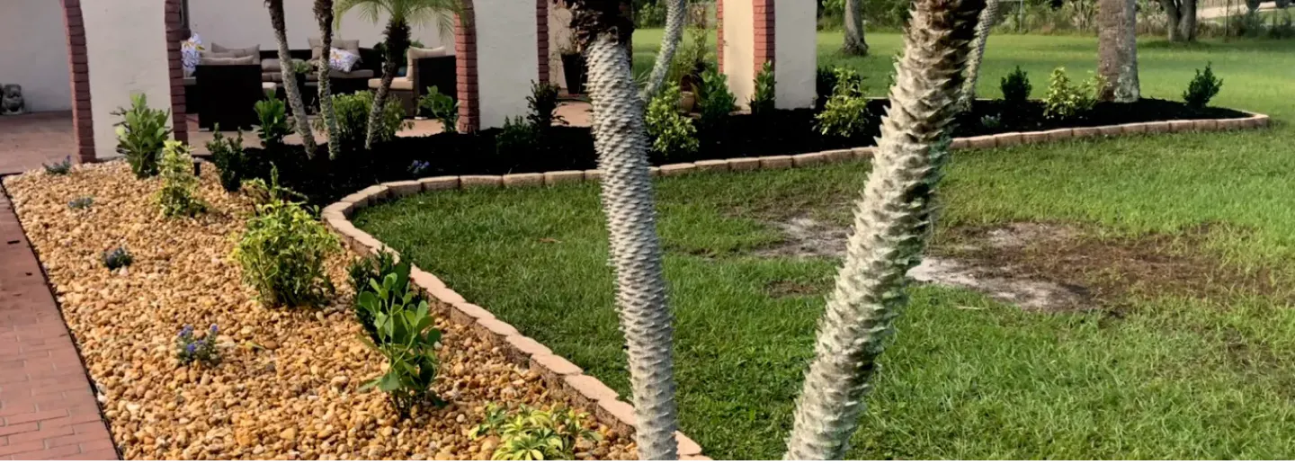 about contact us trees grass palm bay fl