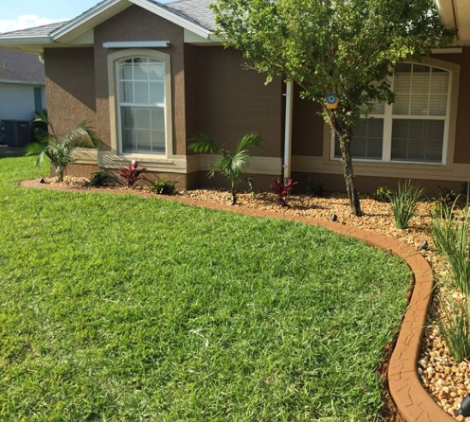front yard grass landscaping trees palm bay fl