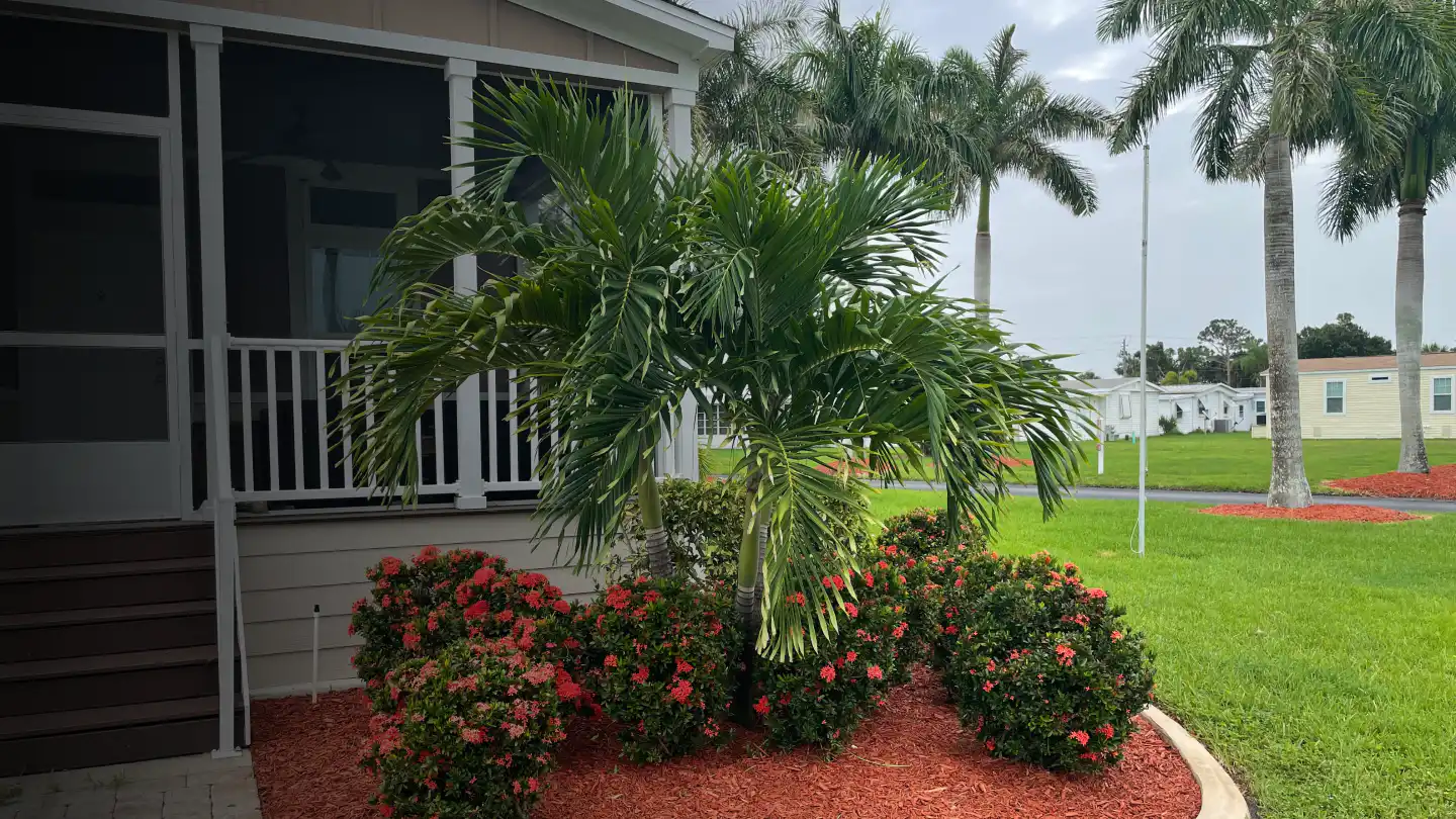 hero front yard grass landscaping trees palm bay fl2